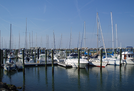 landscapes design services in Hampton