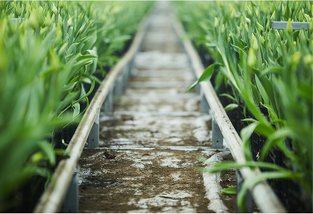 Drainage Services in Hampton Roads, VA