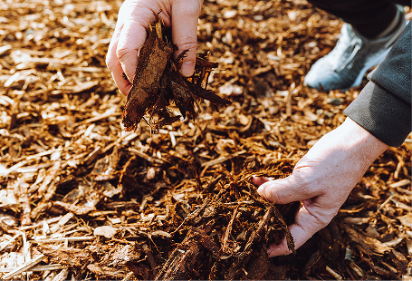 Mulching Services in Hampton Roads, VA