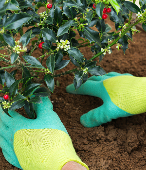 Plant installation in Hampton Roads, VA