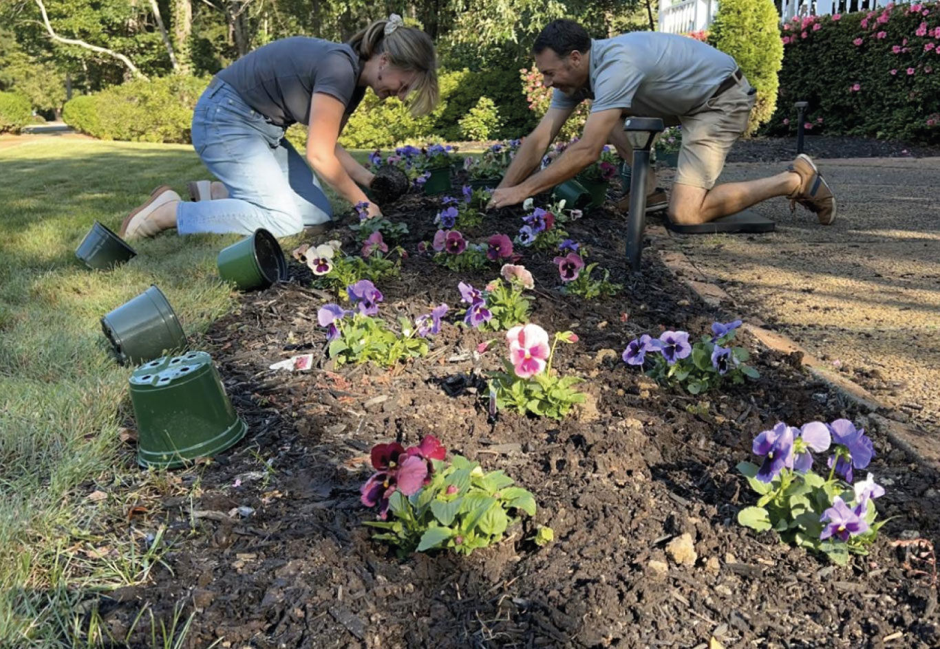 Two people planting pansies in a flower bed on a sunny day