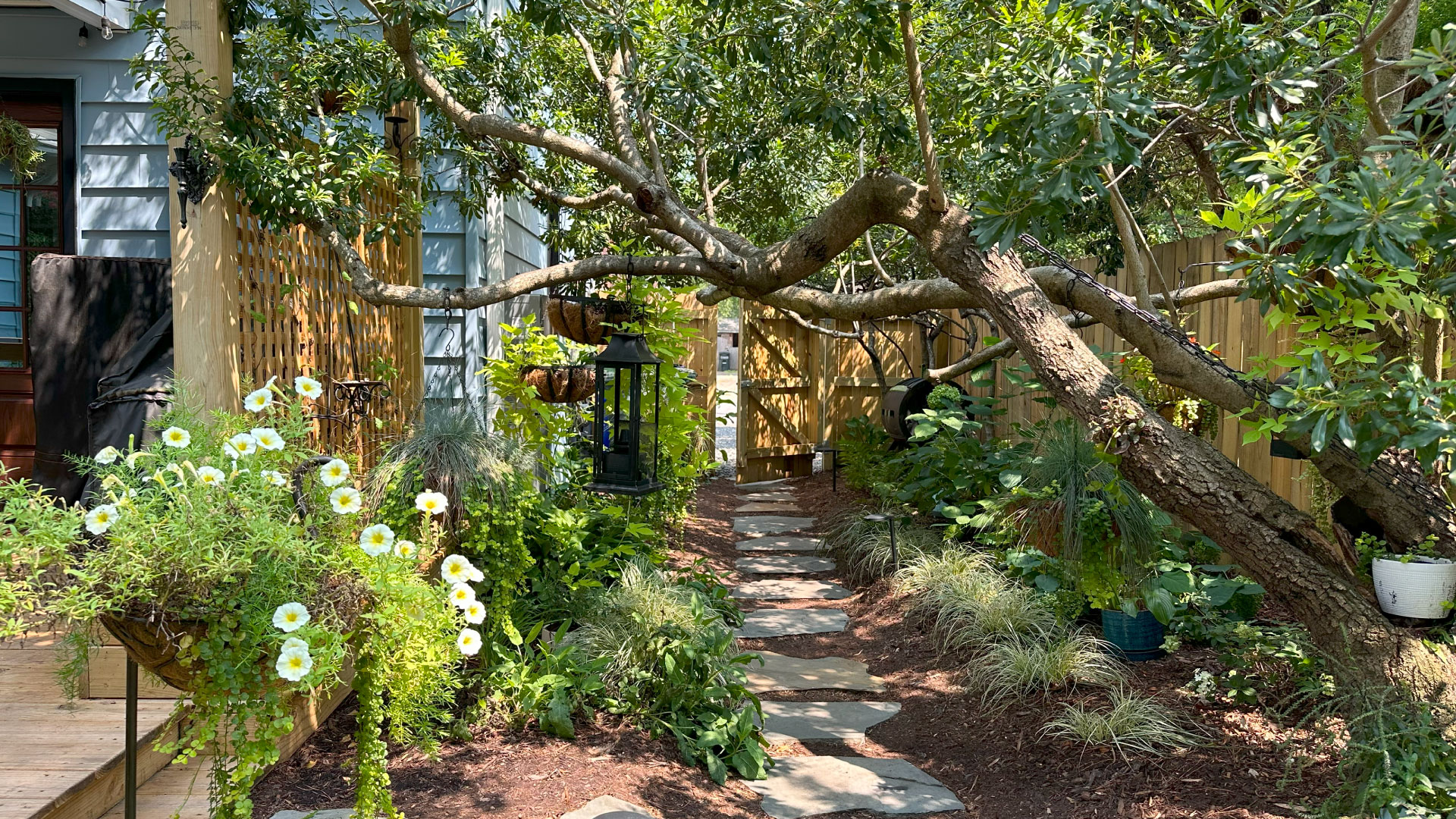 small backyard retreat norfolk va