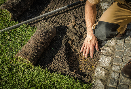 Sod Reparation in Hampton Roads, VA