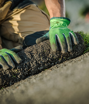 Sod Installation in Hampton Roads, VA