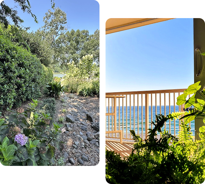 Landscaping services Virginia Beach