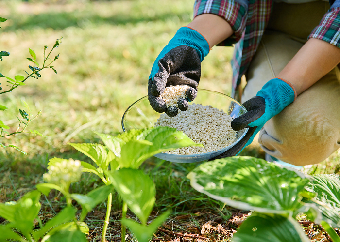 Maintenance services in Hampton Roads, VA