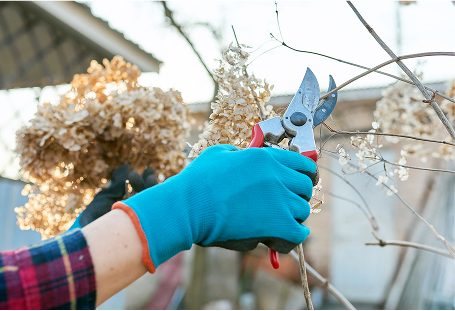 Maintenance Services in Hampton Roads, VA