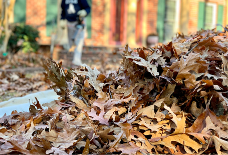 Spring Cleaning in Hampton Roads, VA