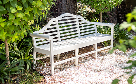 White bench surrounded by green foliage