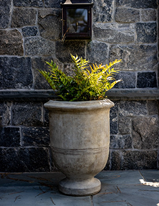Stone planter with fern against dark wall