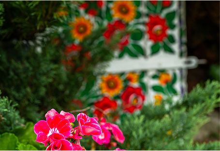 Seasonal Planting in Hampton Roads, VA