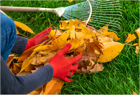 Raking autumn leaves as part of seasonal landscape service