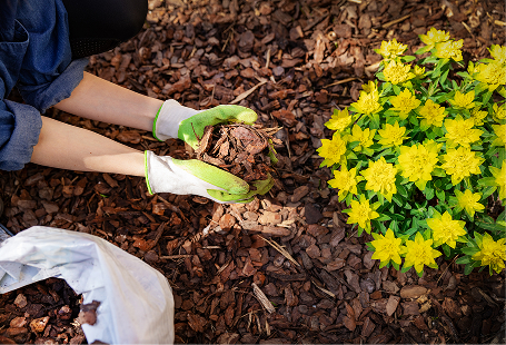 Soil Care in Hampton Roads, VA