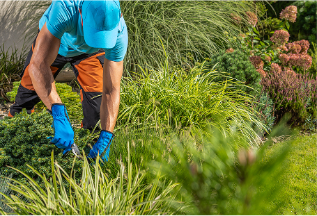 Summer Maintenance in Hampton Roads, VA