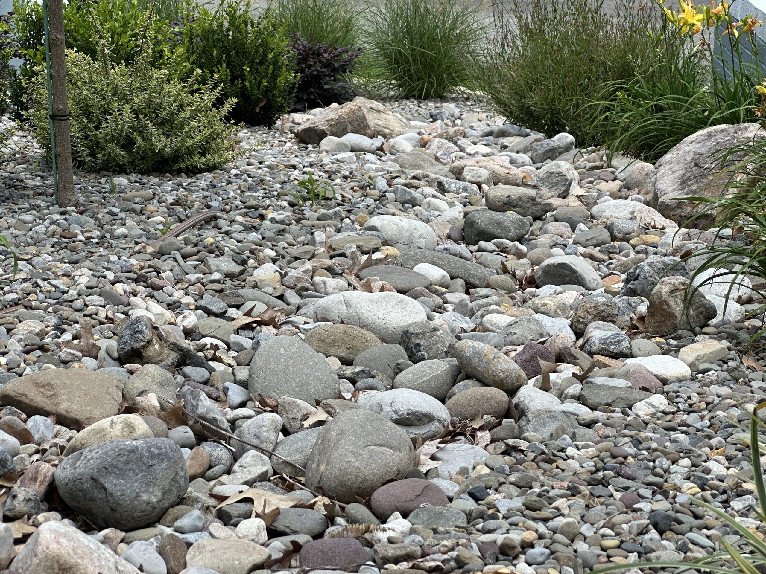 Dry river bed